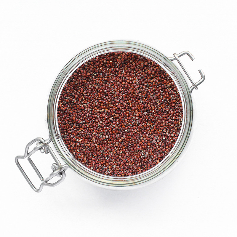 Quinoa rouge d'Anjou